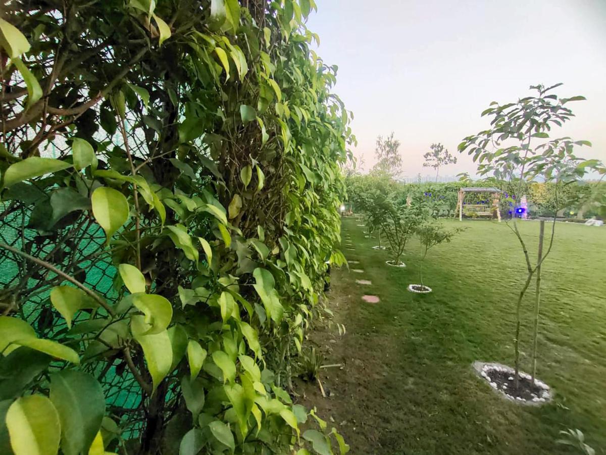 Shaw Estate-Farm House For A Small Parties-Jp Farm Greater Noida Εξωτερικό φωτογραφία